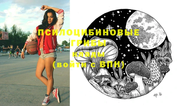 эйфоретик Абаза