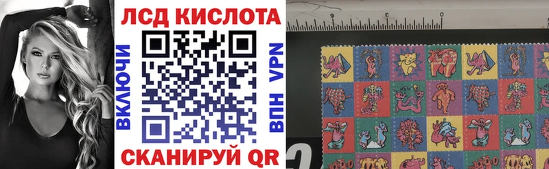 магазин  наркотиков  Весьегонск  Наркотические марки 1,5мг 