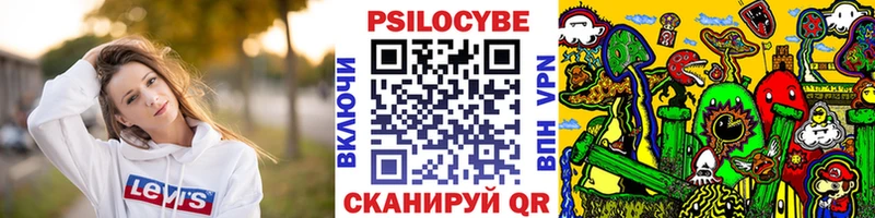 Псилоцибиновые грибы мицелий Весьегонск